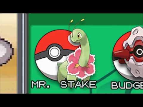 TFS' Pokemon SoulSilver Nuzlocke Death Compilation