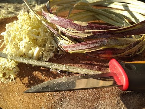 vannerie sauvage : la ronce