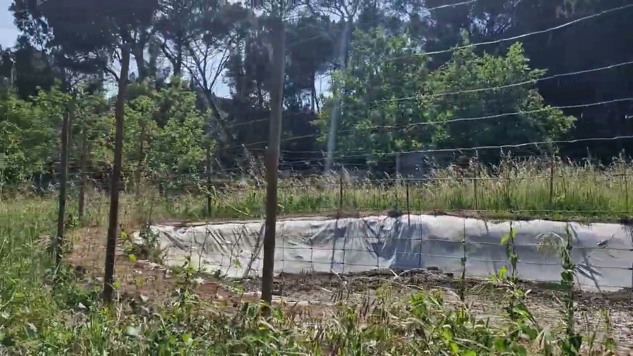 Vídeo do imóvel