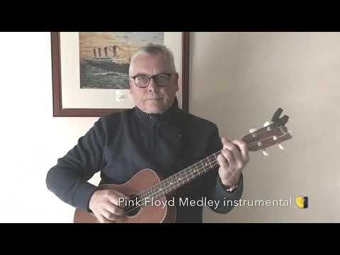 ZigUke | Instrumental Extracts of 3 Pink Floyd songs | baritone ukulele