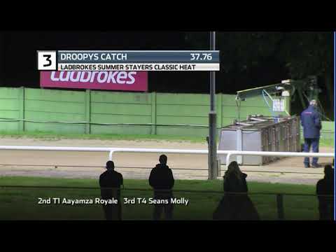 2020 LADBROKES STAYERS CLASSIC - HEAT 6 - T3 DROOPYS CATCH