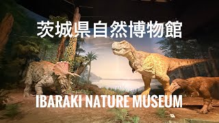 茨城県自然博物館 | ibaraki nature museum