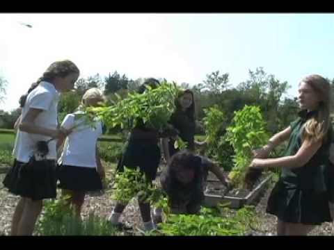 PD-1315 Farm To Table