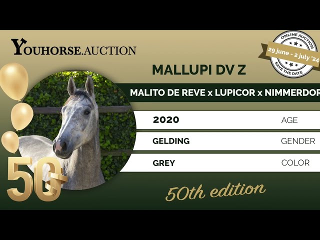 Mallupi DV Z