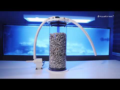 How to set up a marine aquarium with Aquaforest - EPISODE #2