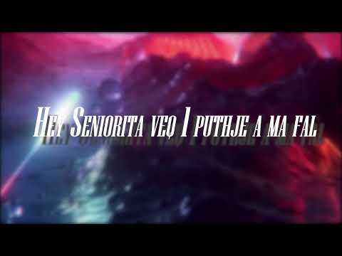 B-Genius Seniorita slowed&lyrics video