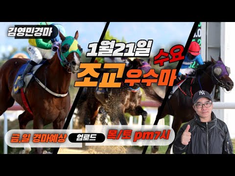 김영민경마 1월21일 부경 수요조교우수마 3두