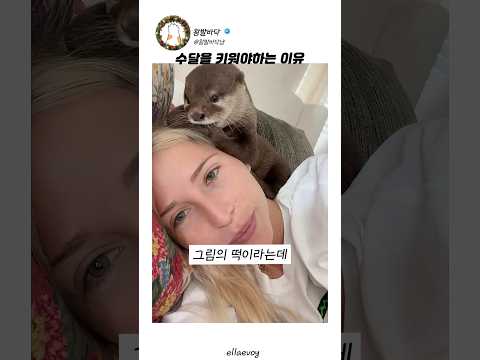 수달을 키워야하는 이유