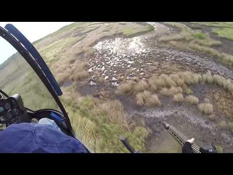 Heli Shooting Hogs Far North Qld Australia