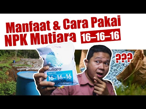 , title : 'Jangan salah.❗❗❗ Ini Manfaat Dan Cara Menggunakan Pupuk NPK Mutiara 16-16-16 Untuk Tanaman Pertanian'