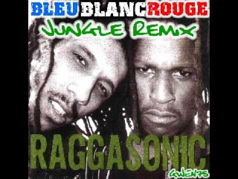 RAGGASONIC - BLEU BLANC ROUGE (Original Jungle Remix)