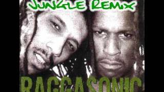 RAGGASONIC - BLEU BLANC ROUGE (Original Jungle Remix)