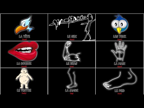 ♫ Alouette, Gentille Alouette ♫ French Body Parts Song ♫ Les Parties du Corps ♫ Learn French ♫