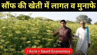 सौंफ की खेती में कुल लागत और फायदे (1 एकड़) | Saunf Economics (Fennel) | Krishi Network