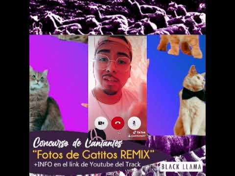 GANADOR FOTOS DE GATITOS REMIX - Adztiempo x Bacondo x lil soke x Trose (Softboy)