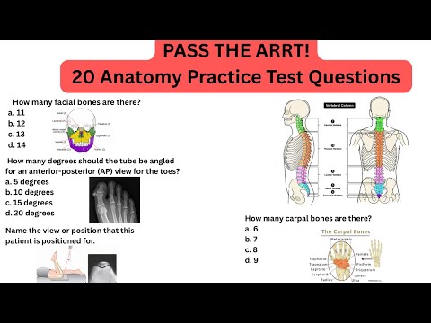 20 Must-Know Anatomy Questions for the ARRT Radiography Exam (With Answers!)
