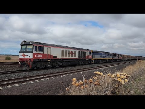 6PM9 SCT Logistics Container Freight 11/02/25