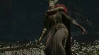 Re: [法環] 大太刀這個武器種類優勢是什麼