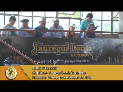 16-02-18 Nota Atilio Panaccio - Jauregui Lorda Haciendas - Brandsen