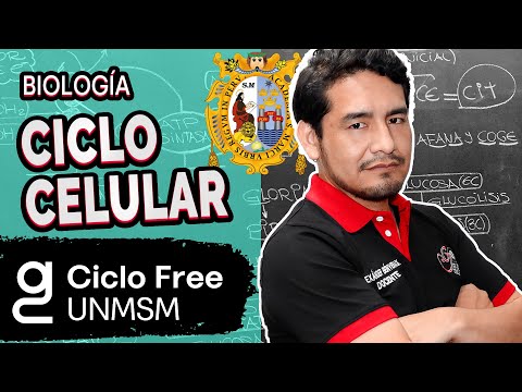 BIOLOGÍA - Ciclo celular [CICLO FREE]