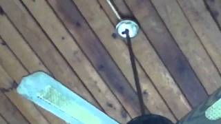 Evergo Ceiling Fan 123vid