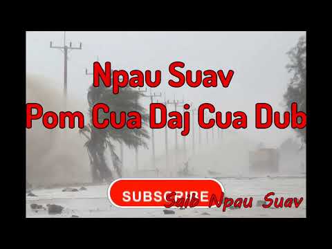 Npau Suav Pom Cua Daj Cua Dub