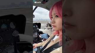 猫がヘリ操縦した結果がやばい