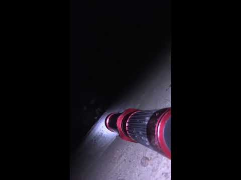 SCP-117 - Cabin Man : Eulicid