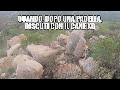 Pernice in ... PADELLA.  Caccia alla Pernice Sarda con una comica litigata tra me e il cane.