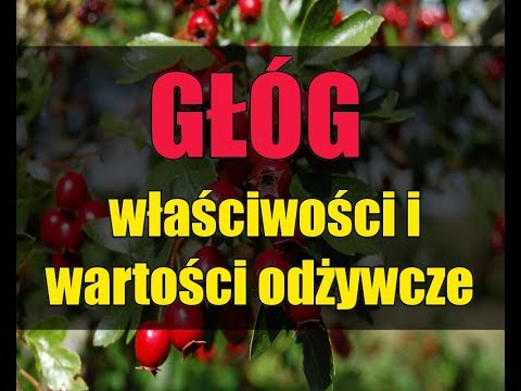 Język jest impotencja Moc, aby zwiększyć siłę