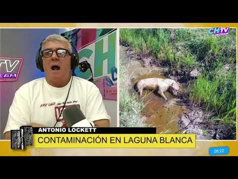 Laguna Blanca: "Tiraron chorizos envenenados para que los perros coman y se mueran"