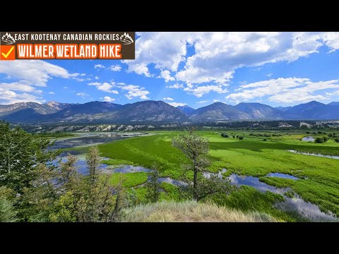 🍁Canadian Rockies🍁Wilmer Wetland Hike - Columbia National Wildlife Area - British Columbia #birdlife