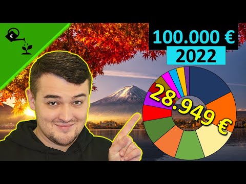 Community Depot Update (ich zeige dir mein ganzes Depot. Ziel 100.000 bis 2022)