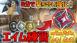 初心者からイモータルまで到達したエイム練習方法【VALORANT/ヴァロラント】