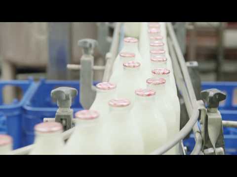 download lagu mp3 mp4 Lactose Free Milk In Glass Bottles, download lagu Lactose Free Milk In Glass Bottles gratis, unduh video klip Lactose Free Milk In Glass Bottles