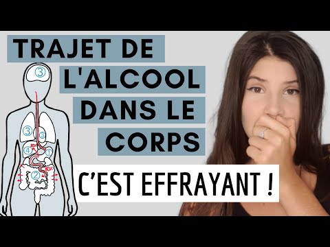 TRAJET DE l'ALCOOL DANS LE CORPS : c'est effrayant !