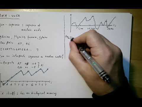 Advanced mathematical modelling, part 33: DNA walk