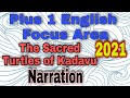 PLUS 1 ENGLISH THE SACRED TURTLES OF KADAVU FOCUS AREA HIGHWAY TO GRAMMAR