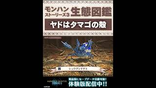 ヤドはタマゴの殻