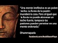 Anael & Bradfield   Buddha Spirit, Vol  3