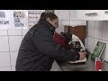 Wat dierenpoep je allemaal vertelt | Remy en z'n vrienden #7