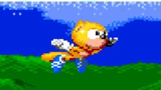 Ray in Sonic 2 (Sonic Hack) #4