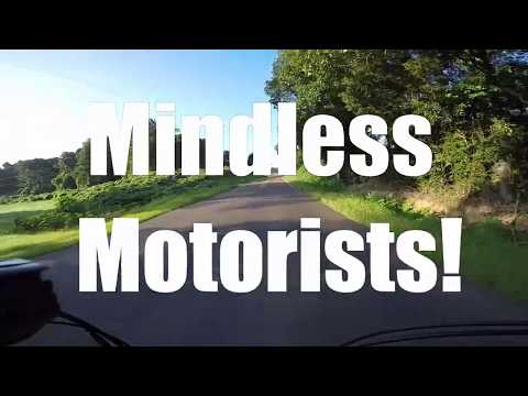 Mindless Motorists #19
