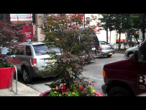 Mikewen and Waldo NYC