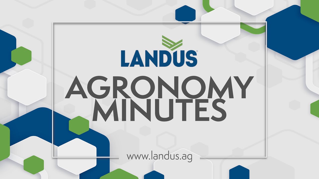 Get the Most From Your Adjuvants with Gro Adjuvants | Agronomy Minutes