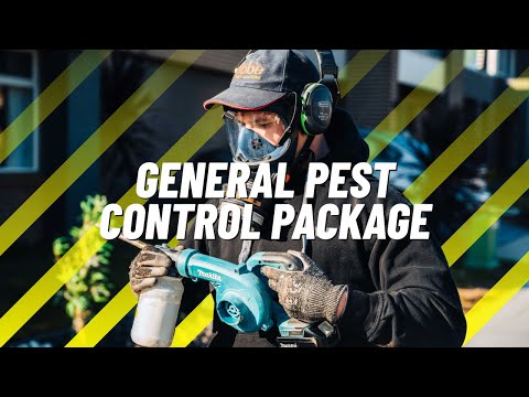 General Pest Control Sydney - E1 Pest Solutions Process & Pest Packages