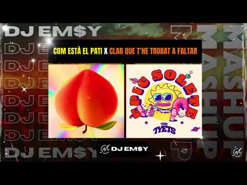 COM ESTÀ EL PATI x CLAR QUE T'HE TROBAT A FALTAR (Oques x The Tyets) 🍑🌞 [Mashup] - EMSY WESTLAND 🎧