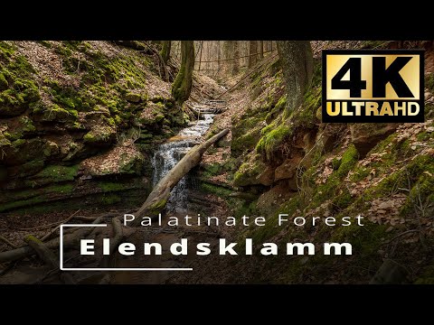 Elendsklamm | Palatinate Forest | Pfälzerwald | Bruchmühlbach-Miesau | The Beauty of Nature
