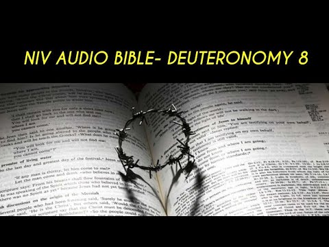 Deut 8 Niv