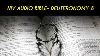 DEUTERONOMY 8 NIV AUDIO BIBLE (with text)